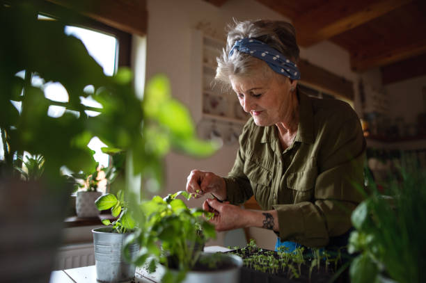 Indoor Gardening