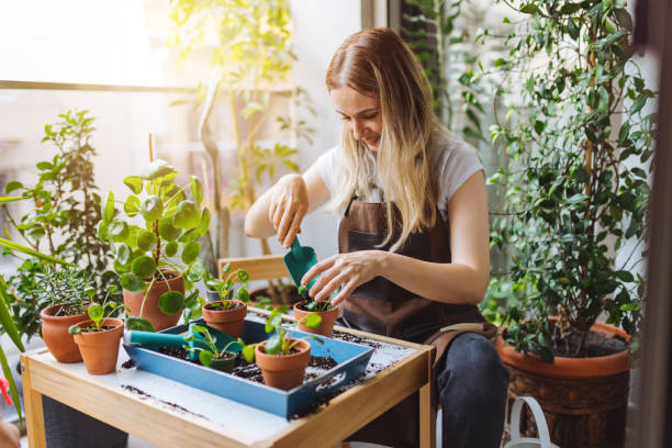 Gardening