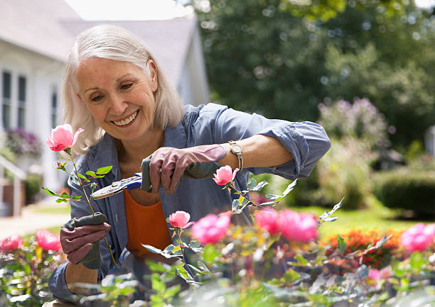 Gardening