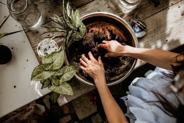 Gardening