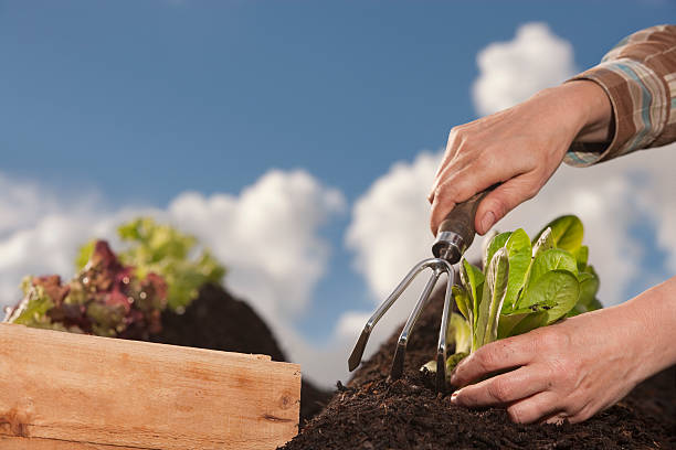 Green Thumb Goddess