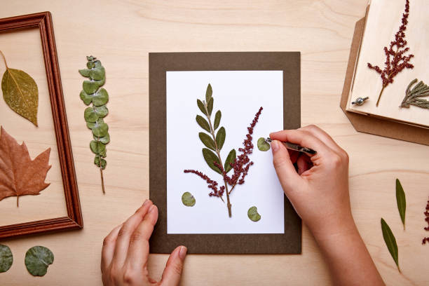 DIY and Crafting