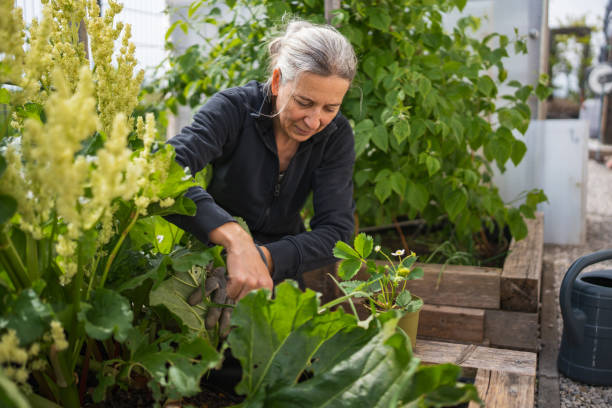 Gardening