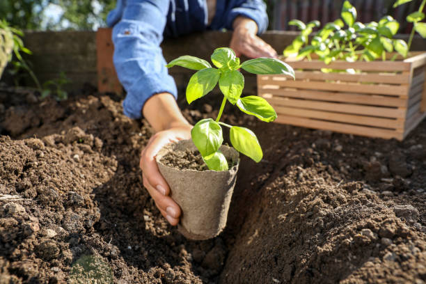 Gardening (Even if You Only Have a Balcony)